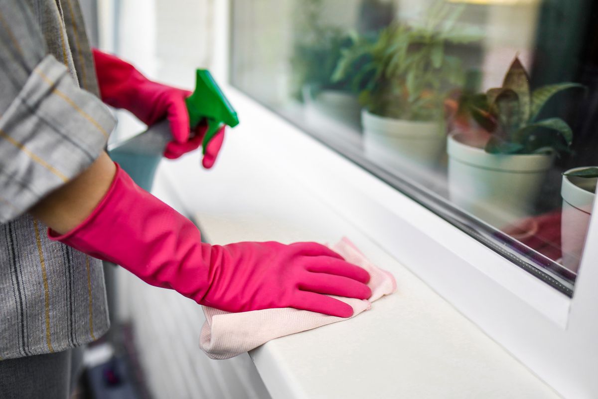 Fensterreinigung